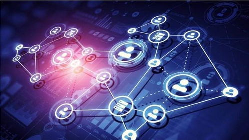 數(shù)字奇跡 一個(gè)小程序如何拯救瀕危的創(chuàng)業(yè)夢(mèng)想